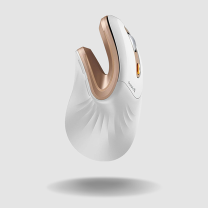 ProtoArc Wireless Ergonomic Vertical Mouse