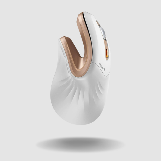 ProtoArc Wireless Ergonomic Vertical Mouse