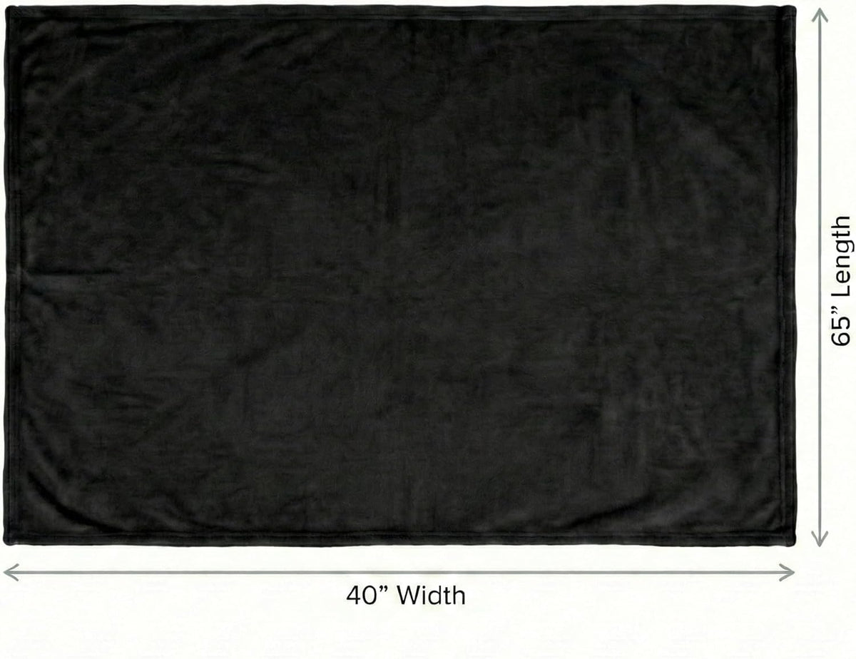 Travel Blanket With Pillow Carry Case