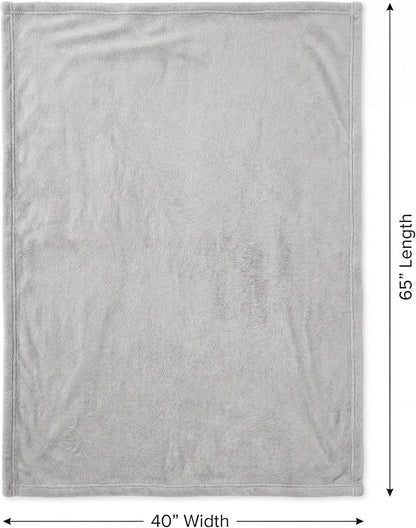 Travel Blanket With Pillow Carry Case